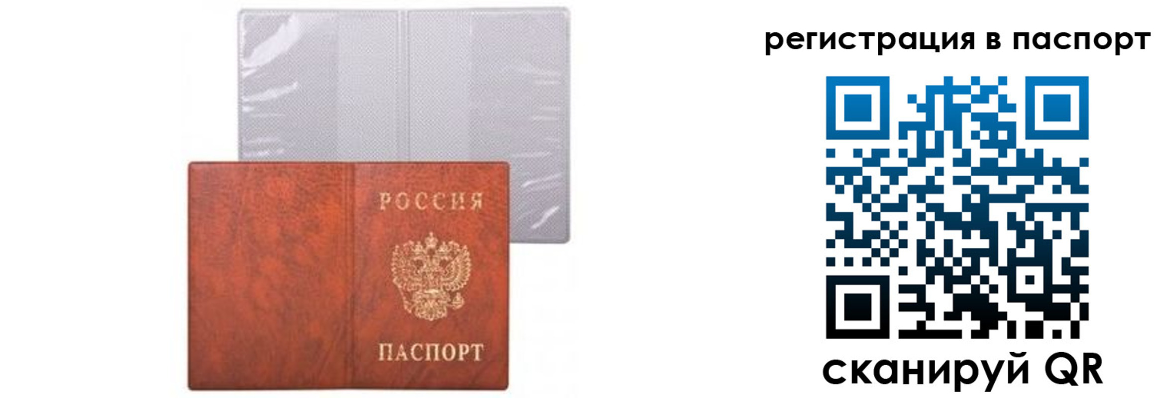 прописка ребенка в Завитинске